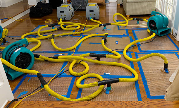Professional Water Damage Restoration technician working in Cottonwood, AZ